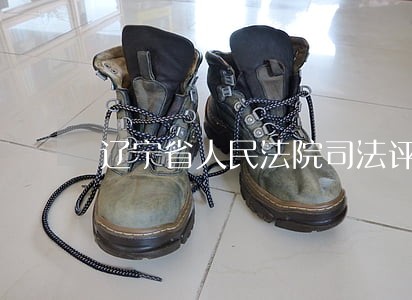 辽宁省人民法院司法评估收费标准