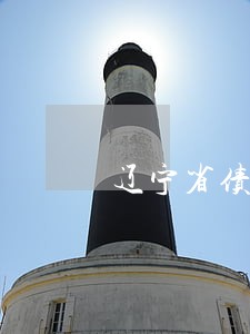辽宁省债务纠纷律师怎么委托 辽宁省债务纠纷律师怎么委托