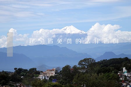 辽宁省免费的法律咨询 辽宁省免费的法律咨询