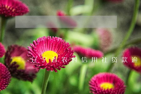 辽宁省农村信用社贷款逾期费 辽宁省农村信用社贷款逾期费