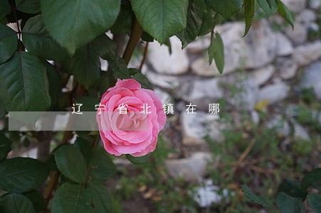 辽宁省北镇在哪