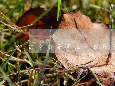 辽宁省原司法厅副厅长 辽宁省原司法厅副厅长