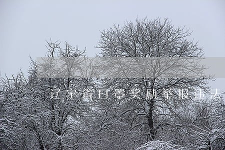 辽宁省口罩奖励举报违法行为 辽宁省口罩奖励举报违法行为