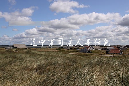 辽宁省司法人事任免 辽宁省司法人事任免