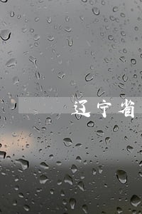 辽宁省司法厅与省法院法律工作者