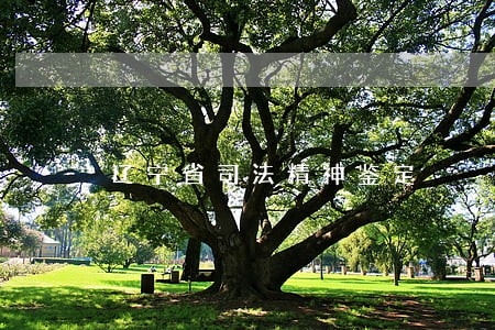 辽宁省司法精神鉴定