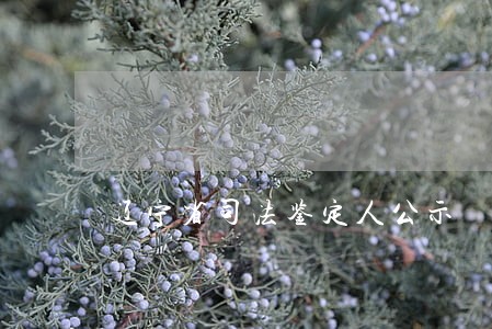辽宁省司法鉴定人公示