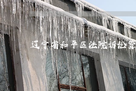 辽宁省和平区法院诉讼资产网