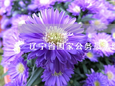 辽宁省国家公务员法院成绩