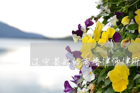 辽宁省好的离婚律师律所 辽宁省好的离婚律师律所