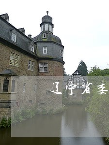 辽宁省委办公厅文件有关司法鉴定 辽宁省委办公厅文件有关司法鉴定