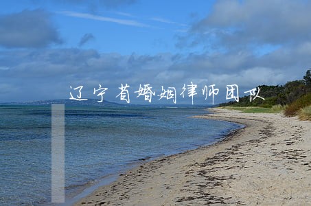 辽宁省婚姻律师团队 辽宁省婚姻律师团队
