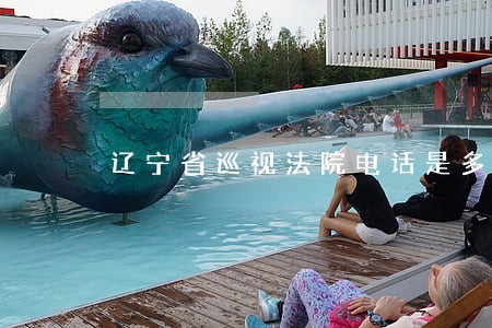 辽宁省巡视法院电话是多少人
