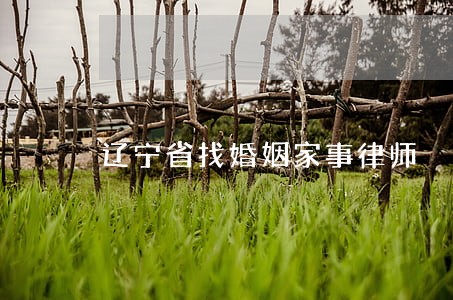 辽宁省找婚姻家事律师 辽宁省找婚姻家事律师