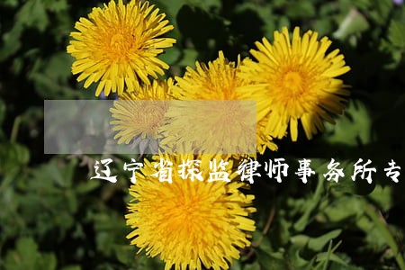 辽宁省探监律师事务所专业可靠