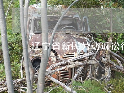 辽宁省新民劳动诉讼律师 辽宁省新民劳动诉讼律师