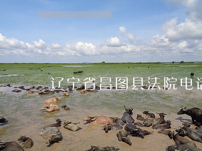 辽宁省昌图县法院电话