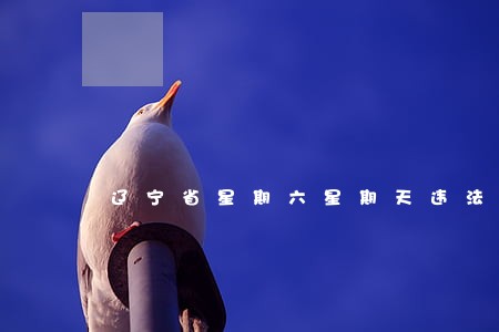 辽宁省星期六星期天违法上班