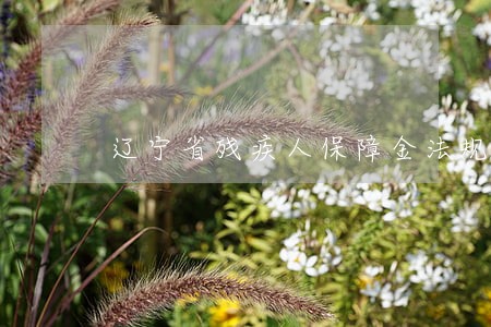 辽宁省残疾人保障金法规 辽宁省残疾人保障金法规