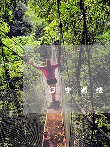辽宁省法律咨询律师免费 辽宁省法律咨询律师免费