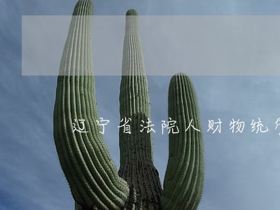 辽宁省法院人财物统管