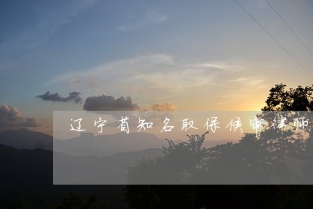 辽宁省知名取保候审律师价格 辽宁省知名取保候审律师价格