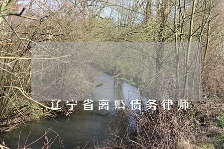 辽宁省离婚债务律师 辽宁省离婚债务律师