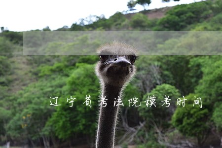 辽宁省考法院模考时间 辽宁省考法院模考时间