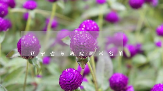 辽宁省考法院面试名单 辽宁省考法院面试名单