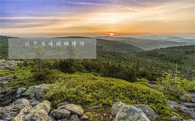 辽宁省请婚姻律师 辽宁省请婚姻律师