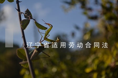 辽宁省适用劳动合同法 辽宁省适用劳动合同法