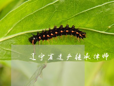 辽宁省遗产继承律师 辽宁省遗产继承律师