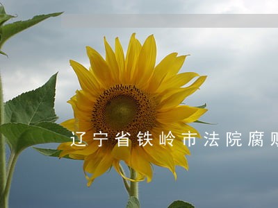 辽宁省铁岭市法院腐败案件 辽宁省铁岭市法院腐败案件