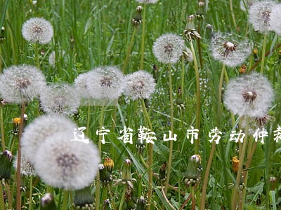 辽宁省鞍山市劳动仲裁