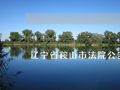 辽宁省鞍山市法院公告 辽宁省鞍山市法院公告