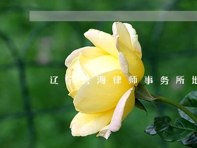 辽宁碧海律师事务所地址 辽宁碧海律师事务所地址