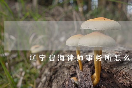 辽宁碧海律师事务所怎么样 辽宁碧海律师事务所怎么样