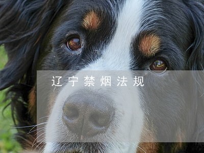 辽宁禁烟法规