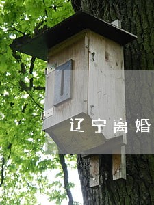 辽宁离婚律师事务所 辽宁离婚律师事务所