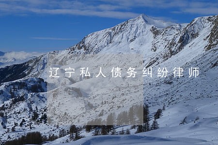 辽宁私人债务纠纷律师 辽宁私人债务纠纷律师