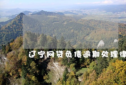 辽宁网贷负债逾期处理律师 辽宁网贷负债逾期处理律师