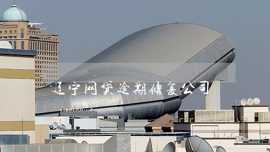 辽宁网贷逾期修复公司 辽宁网贷逾期修复公司