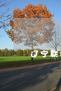 辽宁联胜律师事务所地址
