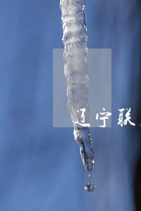 辽宁联胜律师事务所沈超 辽宁联胜律师事务所沈超