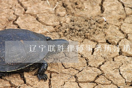辽宁联胜律师事务所注册律师 辽宁联胜律师事务所注册律师