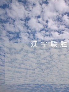 辽宁联胜律师事务所金威