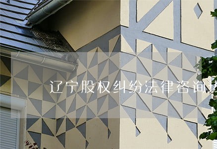 辽宁股权纠纷法律咨询热线