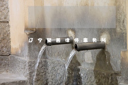 辽宁至善律师事务所 辽宁至善律师事务所