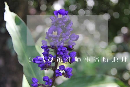 辽宁观策律师事务所地址 辽宁观策律师事务所地址