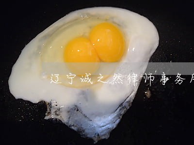 辽宁诚之然律师事务所 辽宁诚之然律师事务所